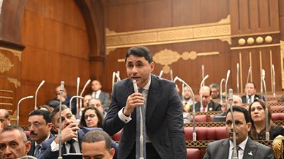 النائب محمد مظلوم يطالب بإنشاء منصات التعليم التكنولوجي لتأهيل الشباب 