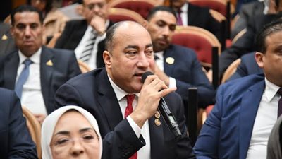 عمرو رشاد: كلمة الرئيس السيسي حملت العديد من الرسائل المهمة 