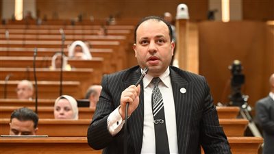 النائب وليد خطاب: خطط الحكومة لتنمية سيناء خطوة استراتيجية لجذب المستثمرين