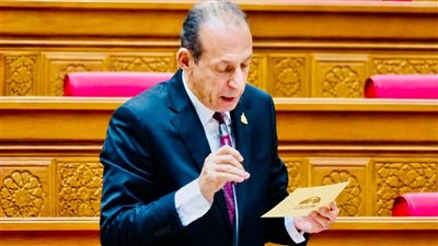 نائب:  الرئيس يقود بحكمة تاريخية تحركًا دوليًا يرسخ السلام 