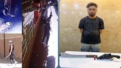 خلافات جيرة.. سقوط عاطل أطلق أعيرة نارية وحطم كاميرات مراقبة بالقناطر الخيرية