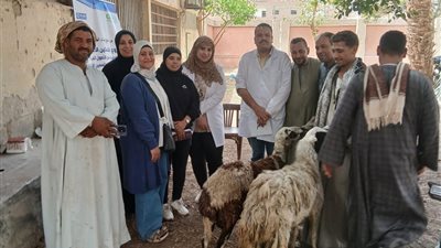 محافظ أسيوط: تحصين 134 ألف رأس ماشية في ختام الحملة القومية 