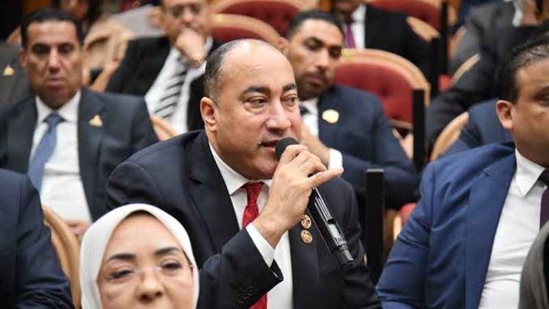  النائب عمرو رشاد