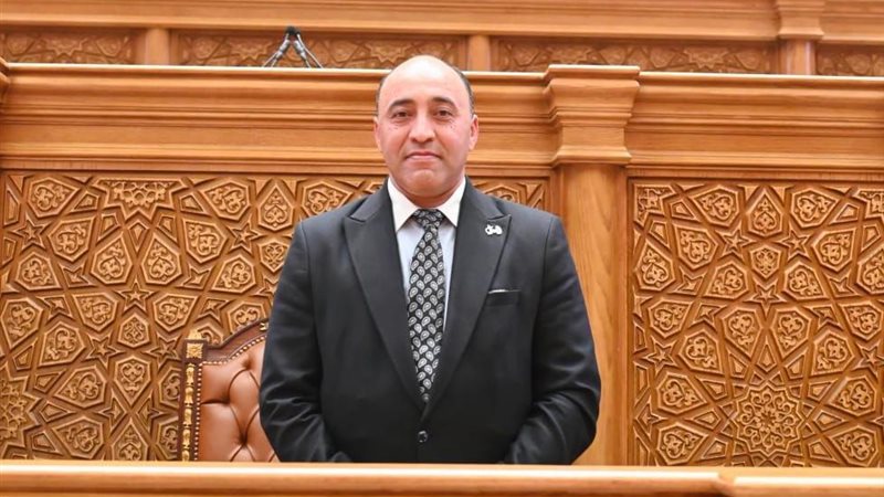  النائب حسام حسن