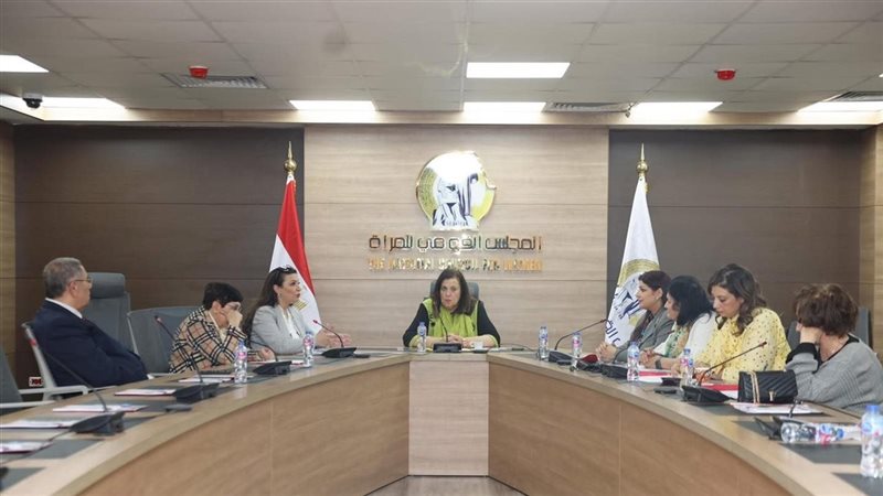 المجلس القومي للمرأة