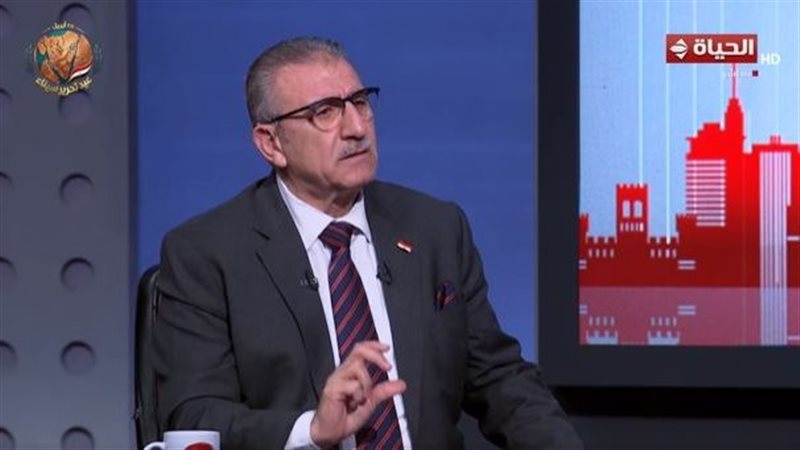 وائل ربيع