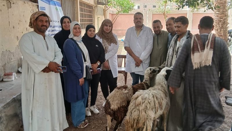  أرشيفية 