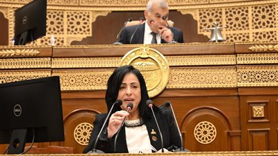 النائبة ميرال الهريدي تدعو لاستضافة محمد فراج وهاني أبو ريدة للشيوخ 