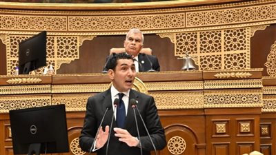 بعد مناقشة طلبات بشأن الرياضة.. رئيس الشيوخ يرفع الجلسة العامة لغدا