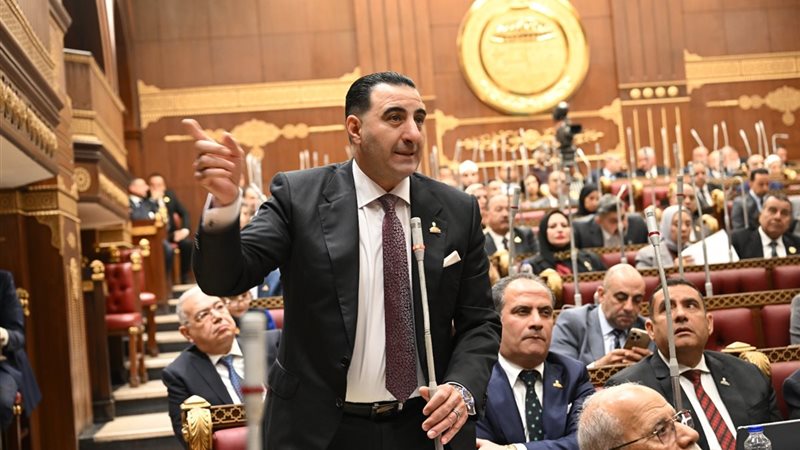 النائب السعيد غنيم