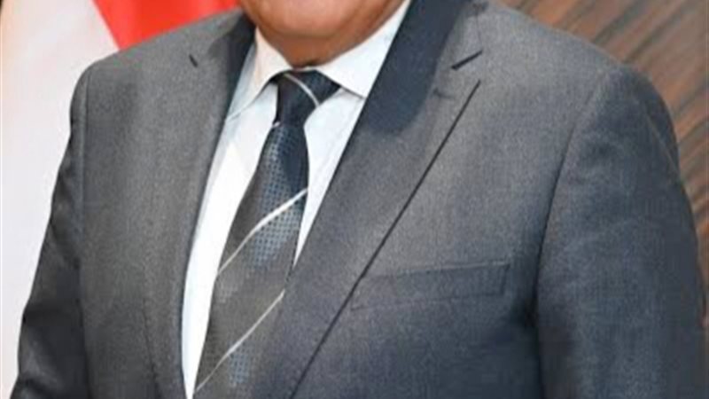 وزير الكهرباء 