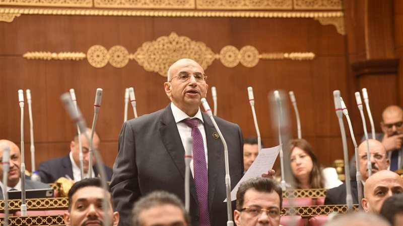 النائب أشرف عبد الغني