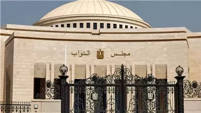 مطالب صارمة لإنقاذ المواطنين من الاحتيال الإلكتروني والحفاظ على بياناتهم 