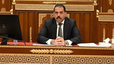 برلماني يقترح إطلاق تطبيق إلكتروني موحد للخدمات القنصلية للمصريين بالخارج 
