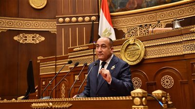 برلماني: لابد من تحقيق توازن بين متطلبات الاستدامة المالية والعدالة الاجتماعية