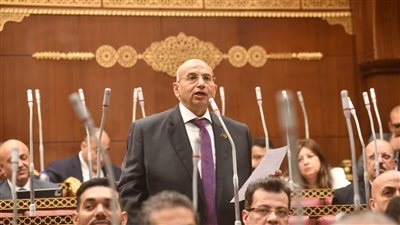 برلماني يرفض قانون التأمينات والمعاشات: الزيادات يلتهمها التضخم 