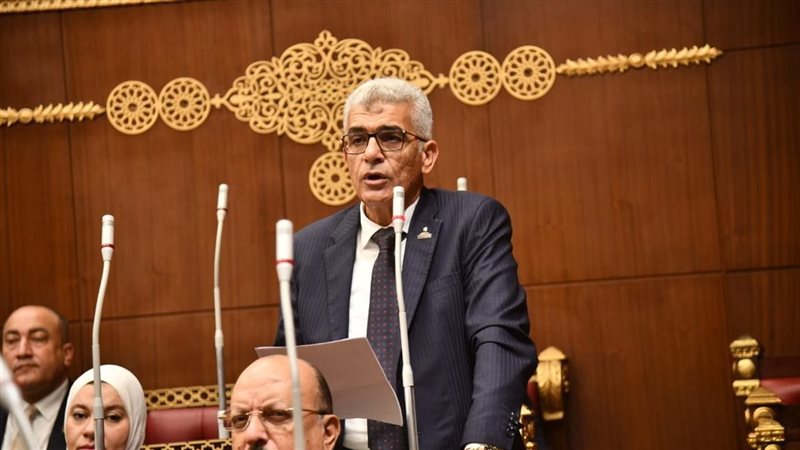محمد سلامة 