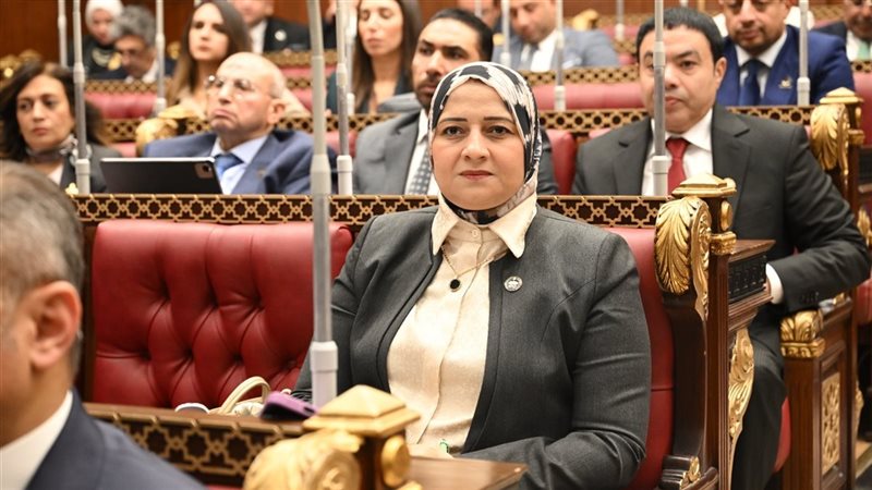 النائبة الدكتورة