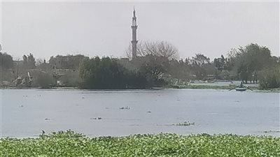 منوف: إخلاء محاصيل ومعدات من طرح النهر مع ارتفاع منسوب مياه النيل