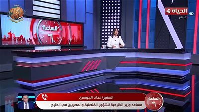 الرئيس يوجه بتقديم أقصى درجات الرعاية للمصريين بالخارج.. وتحركات قنصلية مكثفة