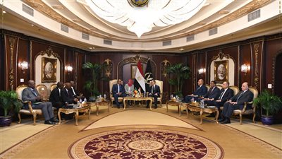 مباحثات ثنائية لتعزيز الأمن ومكافحة الجريمة المنظمة بين مصر ومالي