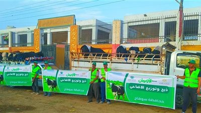 غدا.. البدء في نحر الأضاحي عقب صلاة العيد بالشرقية لدعم الأسر الأولى بالرعاية