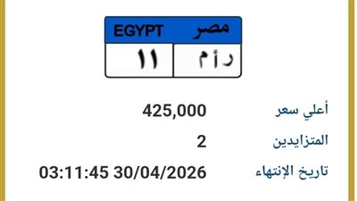 «ر أ م 11» تشعل مزاد اللوحات المميزة بـ 425 ألف جنيه