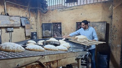 محافظ الغربية يُكثّف الرقابة على منظومة الخبز المدعم بحملات تموينية موسعة