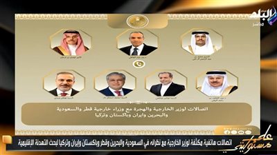موسى: مصر استجابت لكافة طلبات الأشقاء العرب ووزير الخارجية يجري اتصالات مكثفة