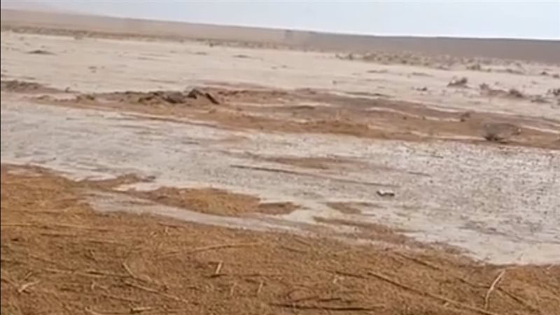 سيول 