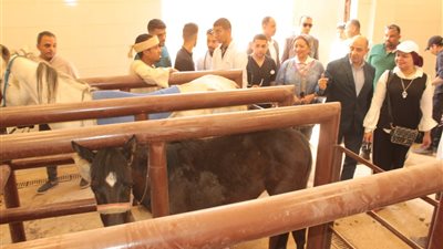 جامعة أسيوط تطلق قافلة تنموية شاملة لخدمة أهالي قرية بني محمد بمركز أبنوب