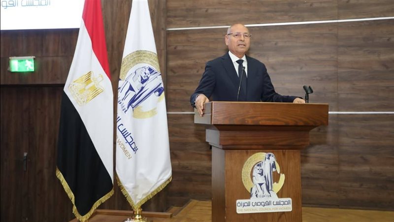 محافظ القاهرة 
