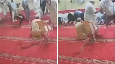 تسلل مرعب.. أفعى ضخمة بين أقدام المصلين داخل مسجد أثناء الصلاة
