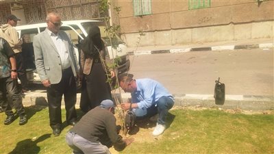 الإسماعيلية تطلق يوما بيئيا موسعا لزراعة الأشجار ضمن مبادرة «100 مليون شجرة»