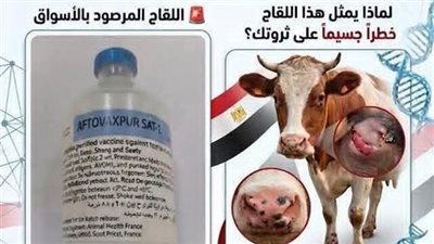 تحذير عاجل من الخدمات البيطرية لتداول لقاحات مجهولة المصدر لمرض الحمى القلاعية