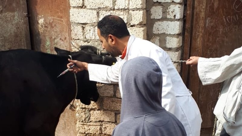 جانب من الحملة 