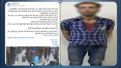 حقيقة فيديو 