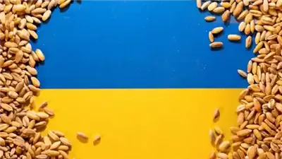 أوكرانيا وإسرائيل والحبوب المسروقة.. القصة الكاملة لغضب كييف من تل أببب