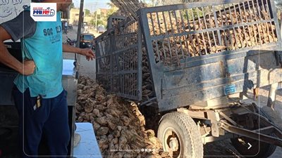 انقلاب مقطورة جرار زراعي محملة بالبنجر في الفيوم بسبب أعمال الحفر 