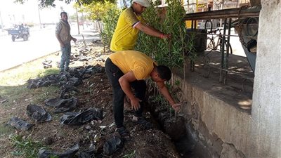 محافظ أسيوط: تحويل موقع مخلفات بالوليدية بحي شرق إلى مساحة خضراء نظيفة