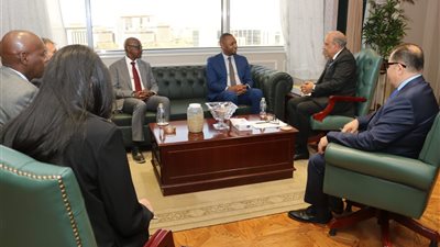 وزير الكهرباء يبحث مع نظيره الرواندي تعزيز التعاون في البنية التحتية