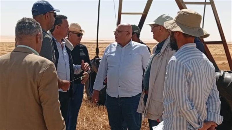 جانب من الفعاليات