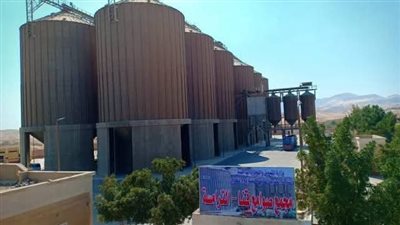 تموين قنا تنهي كافة الاستعدادات لإستقبال بشائر الخير موسم القمح