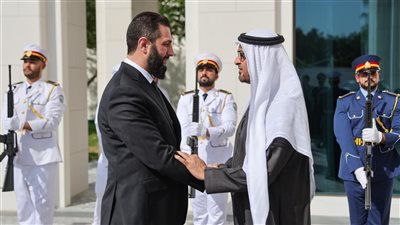 رئيس الإمارات يبحث مع نظيره السوري تحديات المرحلة الانتقالية