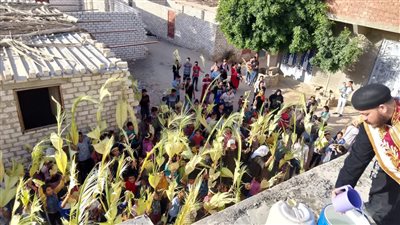 ترانيم النصر وأغصان الزيتون.. أقباط المنيا يحتفلون بـ «أحد الشعانين»| صور