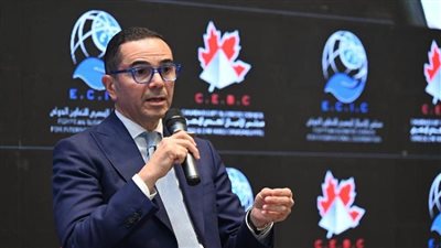 حسن الخطيب يوضح مستقبل الصندوق السيادي والطروحات الحكومية (فيديو)