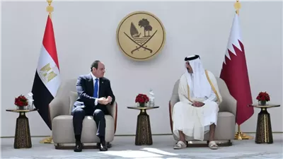 ننفرد بنشر تفاصيل أضخم صفقتين بين مصر وقطر | خاص 