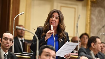 أميرة العادلي تنتقد الحساب الختامي .. ديون الحكومة تصل 659.2 مليار جنيه