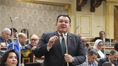 النائب أحمد مقلد يعلق على الحساب الختامي وينتقد الهيئات الاقتصادية