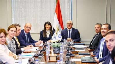 رسميًا.. إطلاق خدمات الشباك الواحد الرقمية بالمنطقة الاقتصادية لقناة السويس